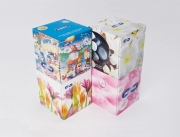 Paloma Cosmetic Tissue Box - Pk60