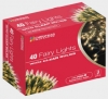 40 Fairy Lights With Clear Bulbs (75700)