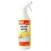 Hg Mould Spray 500ml