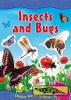 Animal World - Insects