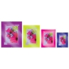 Glass Clip Frame 12x16inch