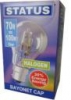 100w - Status - Halogen