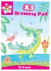 Act-Draw Pad Chinese A3 45sh