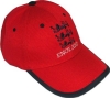 England Lions Red & Black Baseball Cap