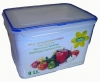 Airtight Rectangular Food Saver Box: 9 Lt