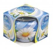 Sleeve Candle Daisies