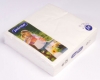 2 Ply White Napkins 40x40cm Pk 50