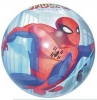 Spiderman Designed Ball In Net