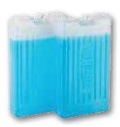 Ice Packs 2x400g