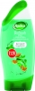 Radox Shower Gel Refresh